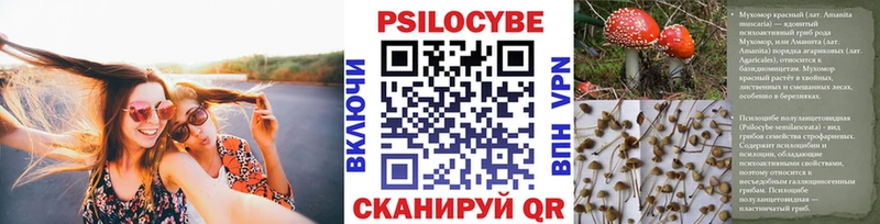 Галлюциногенные грибы Cubensis  Чердынь 